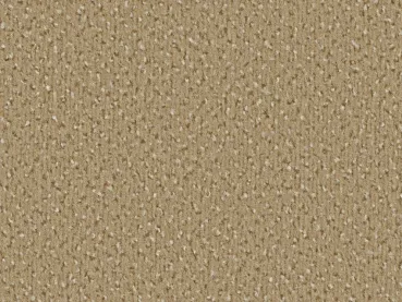 „Vorwerk Alexis Teppichboden in Dunkelbeige – klassische Draufsicht mit samtiger Struktur“